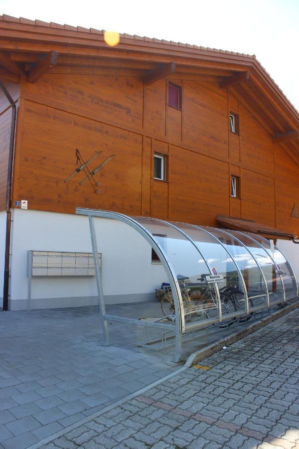 Moench Apartment - Aare Jungfrau Ag Wilderswil Bagian luar foto